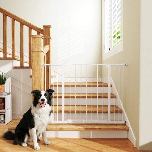 Pressure mount dog - pressure, gate