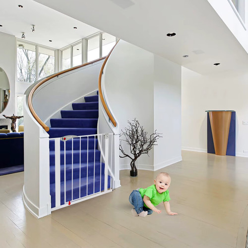 Baby safety gate - safety, dog