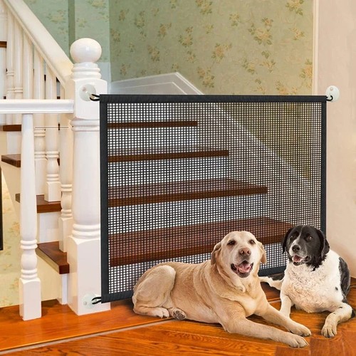 Folding pet dog - dog, retractable