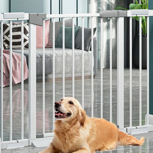 Home baby safety gate - gate, dog