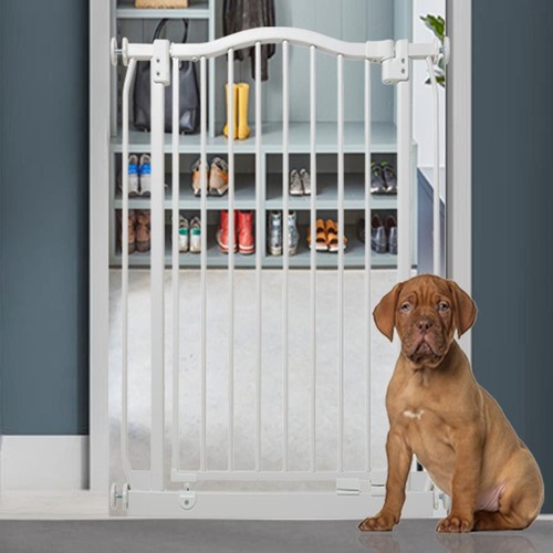 Bettacare dog gate curved - dog,