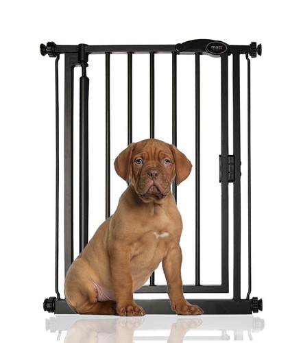 Bettacare dog safety - safety, gate