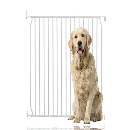 Bettacare extra tall dog - tall,