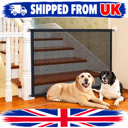 Folding pet dog - pet,