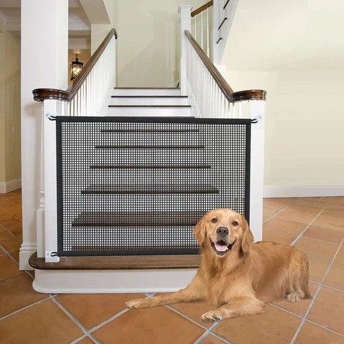 Folding pet dog - folding,
