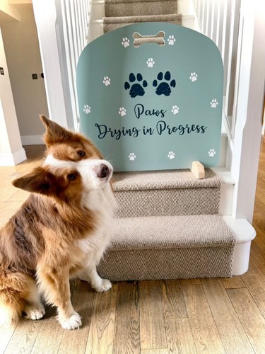 Dog stopper stop - dog, stopper,